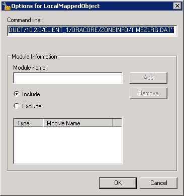 LocalMappedObjectOptions
