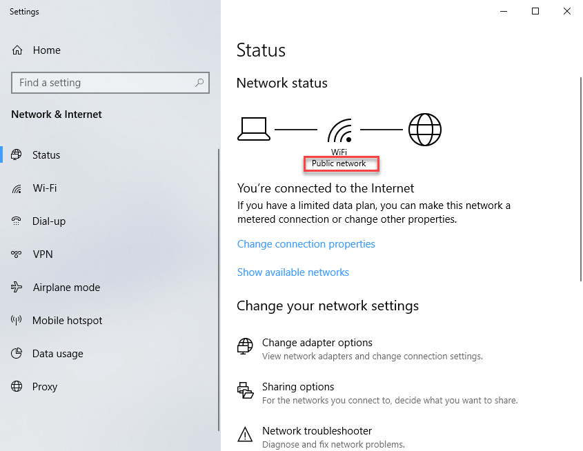 Network Status showing the network is marked as a Public network