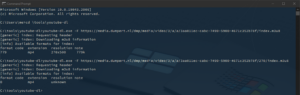 Screenshot of youtubedl -F output