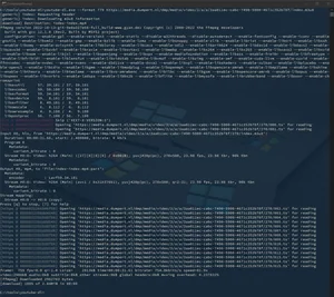 Screenshot of youtubedl execution
